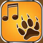 Animal Ringtones Soundboard – Crazy Noises and Funny Sound Effects Free App Contact