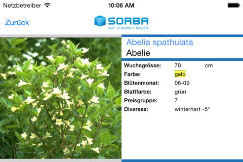 SORBA Pflanzen - náhled