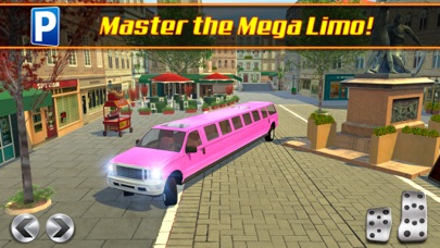 Limo Driving School a Valet Driver License Test Parking Simulator screenshot 5