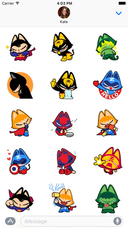 Super Hero Cat