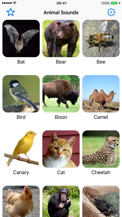 Animal Sounds Voice Effects Simulator for Toddler