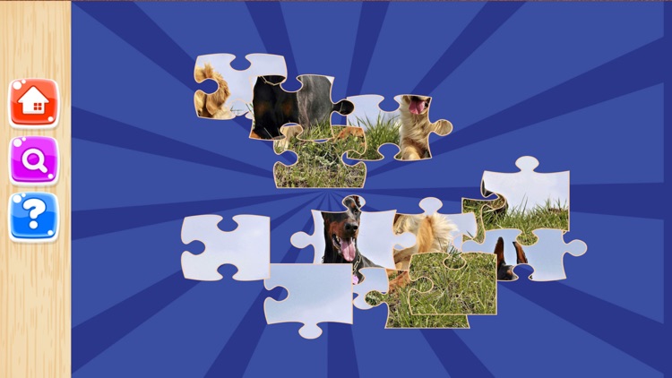 Dog Jigsaw Puzzles Games Kids screenshot-4