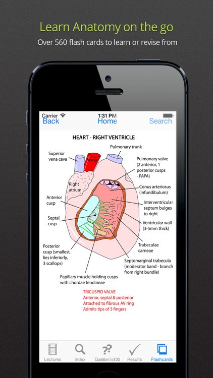 Instant Anatomy Anthology