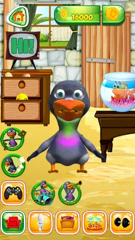 Game screenshot Talking Pigeon mod apk