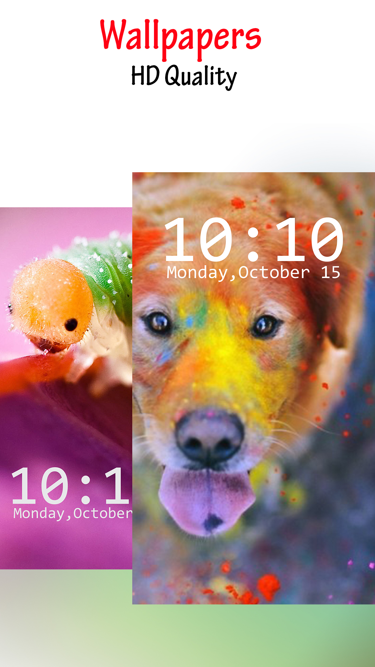 Animal Wallpapers – Free Pics and Background.s screenshot 5