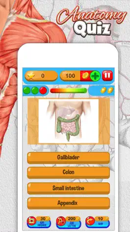 Game screenshot Anatomy Quiz - Science Pro Brain Education Game apk