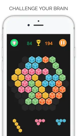 Game screenshot Color Block - Super Square and Hexagon mod apk