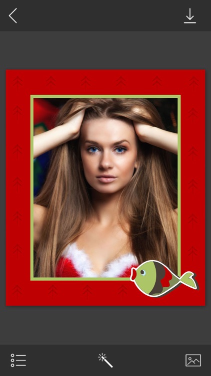 New Year Photo Frames - Picture Editor