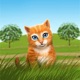PetWorld Stickers app icon - Stickers app for iPhone