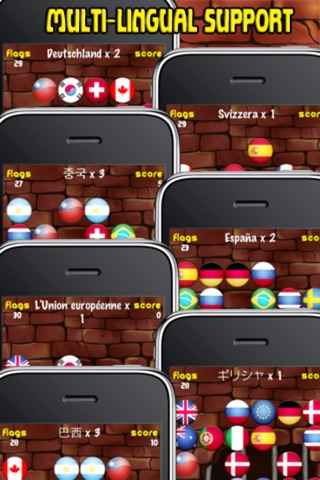 Find Flags screenshot 3