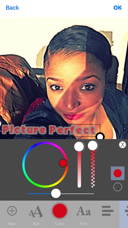 Payaim Picture Perfect