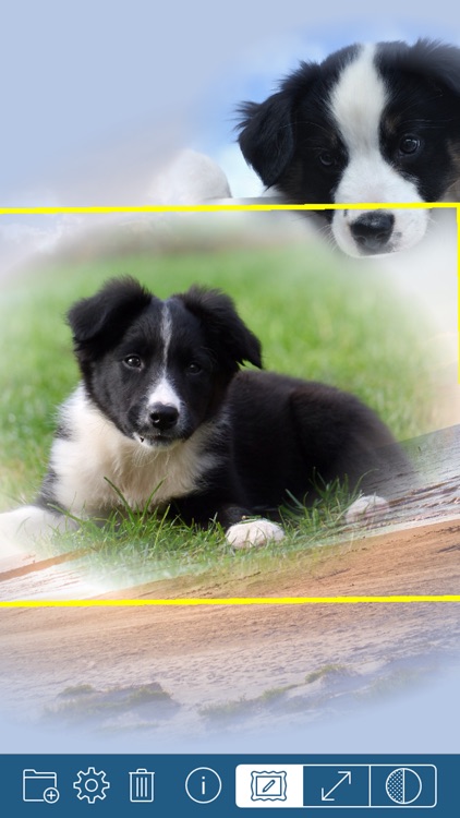 PhotoTangler - Best Collage Maker to Blend Photos screenshot-0