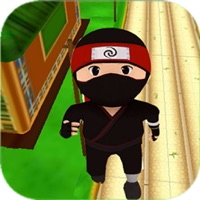 Ninja kids run