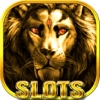 Lion Casino Slot Machines – Bet wild and win big