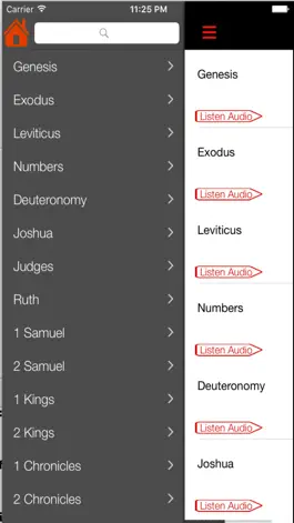 Game screenshot New American Standard Bible (Audio) apk