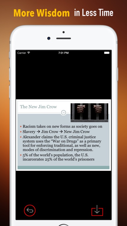 Quick Wisdom from The New Jim Crow:Practical Guide
