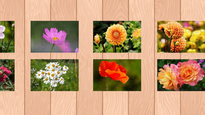 Screenshot #2 pour Flower Jigsaw Puzzle HD Jeux Gratuit