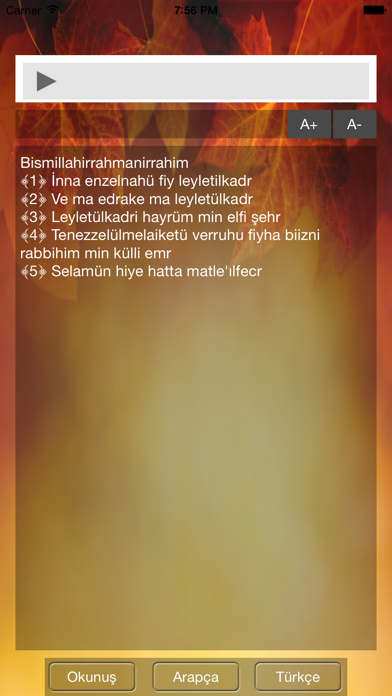 Screenshot #1 pour Kadir Suresi