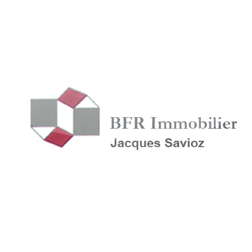 BFR Immobilier icon