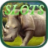 Animal Slots Casino - Play & Bonus Vegas Game