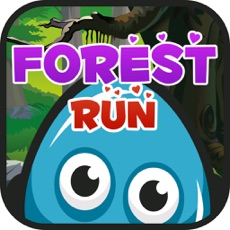 Activities of Forest Run Adventure