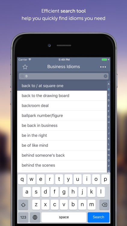 Business Idioms & Expressions screenshot-4