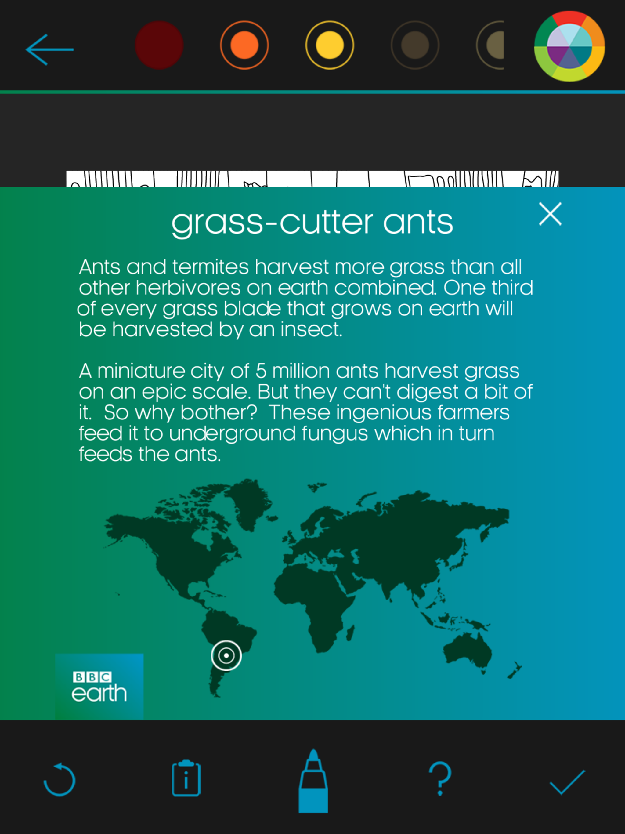BBC Earth Colouring