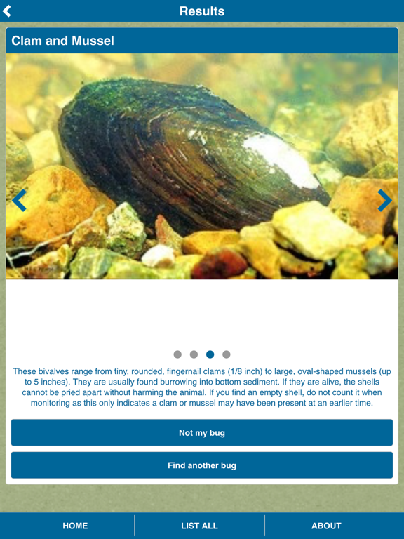 Screenshot #6 pour Aqua Bugs