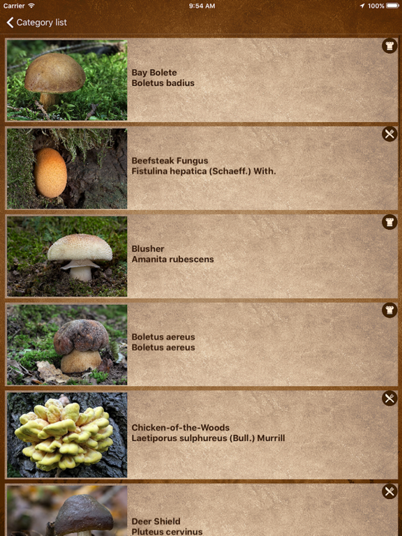 Screenshot #6 pour Mushrooms Go