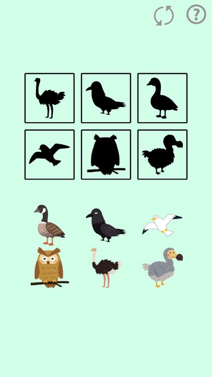 Puzzle Bird for Kids