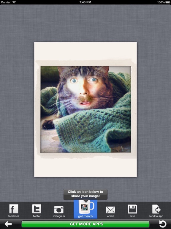 Cat Me! iPad screenshot 1 - Photo & Video app