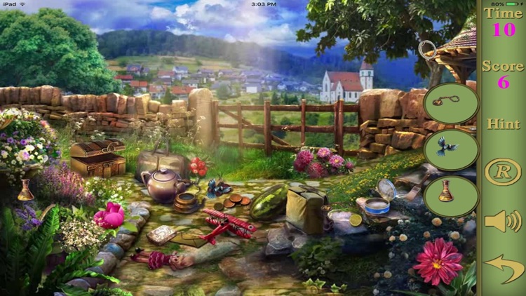 Hidden Objects Of The Swan River