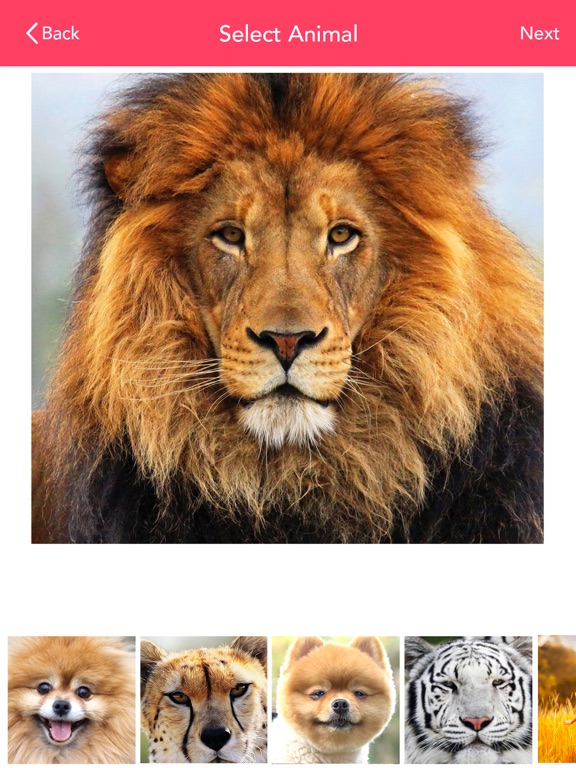 Screenshot #5 pour Insta Animal Gif Creator