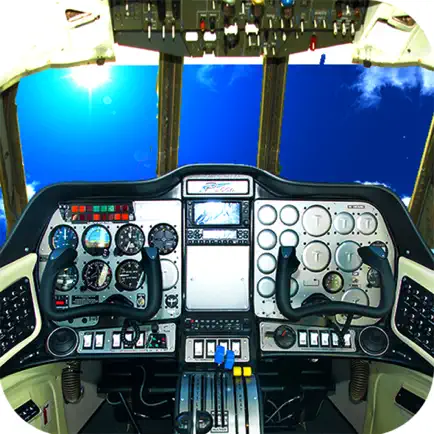 Real Pilot Flight Simulation: Drive Airoplane 3D Cheats