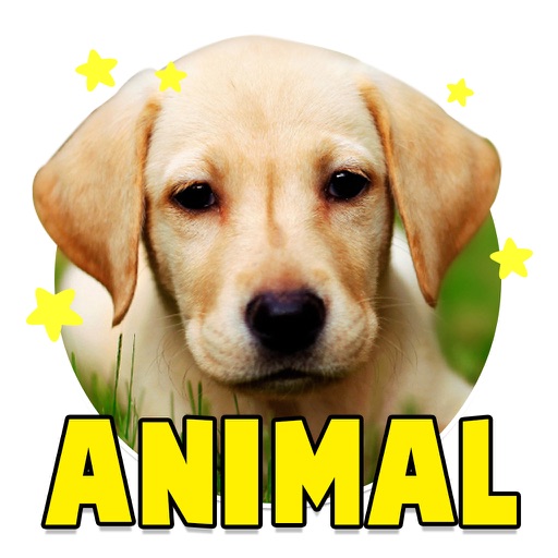Baby Flash Cards: Animal Learning Clip Cards Icon