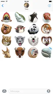 wwf vk айфон картинки 2