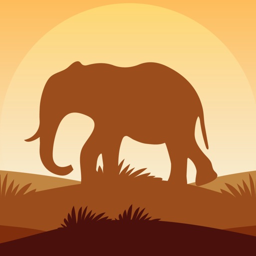 Fun with Elephant - Angry Elephant in jungle