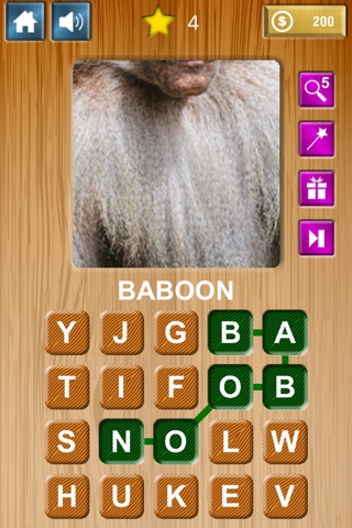 Zoom & Hidden Word - Animals Edition screenshot 4