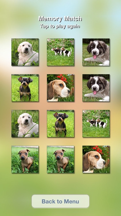 Cute Dogs Slideshow & Wallpapers (HD) screenshot-1