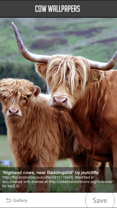 How to cancel & delete Cow Wallpapers from iphone & ipad 2