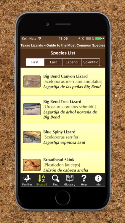 Texas Lizards – Guide to the Most Common Species