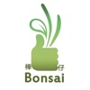 棒仔园艺 bonsal