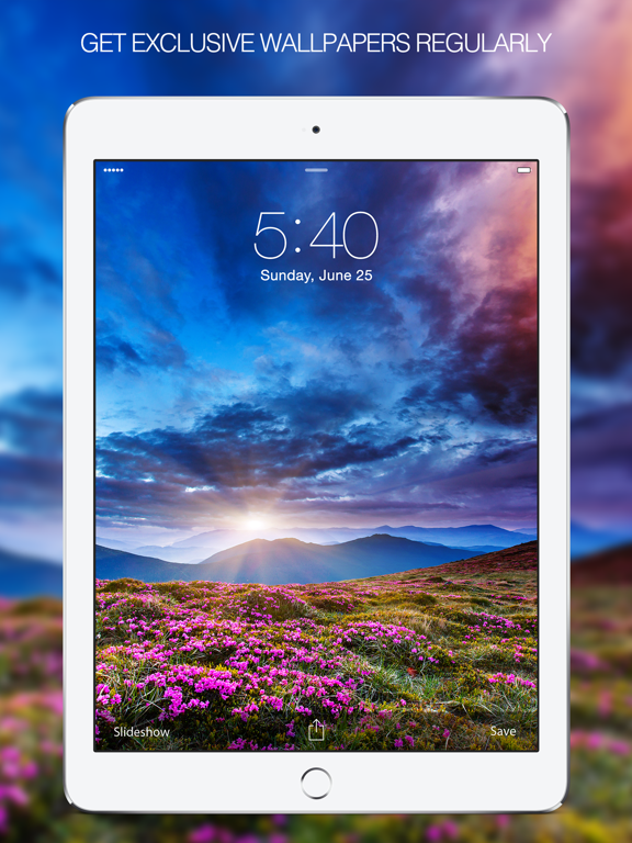 Screenshot #6 pour Holiday Backgrounds & Holiday Wallpapers Free