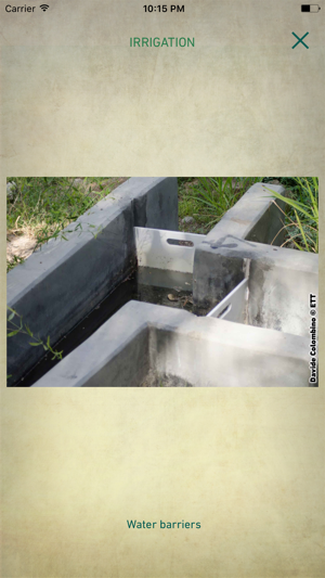 Al Ain Oasis Project(圖4)-速報App