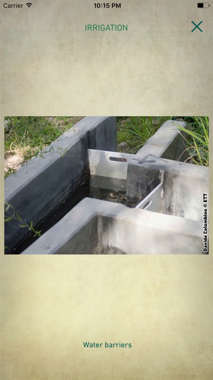 Al Ain Oasis Project screenshot-3