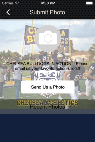 Chelsea Bulldogs screenshot 2