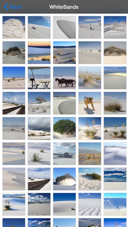 White Sands National Park screenshot-4