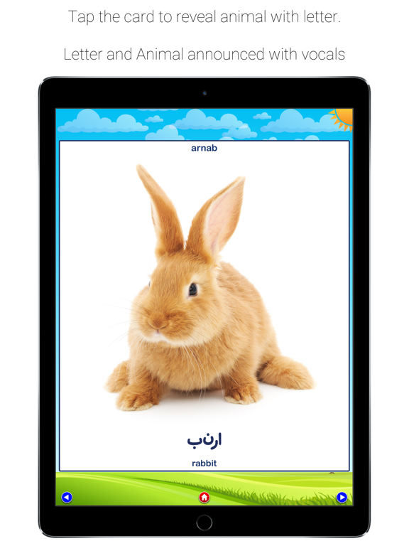 Screenshot #5 pour Alif Baa-Arabic Alphabet Letter Learning for Kids