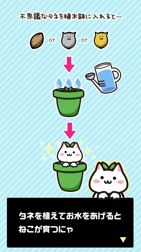 はちねこ　鉢に入った猫を育てよう〜ゆるゆる放置ゲーム