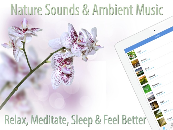 Screenshot #1 for Relaxing Nature Sounds of Forest Stream, Smoothing Rain, Ocean Waves, Meadow Ambience, Calm Beach & Chirping Birds